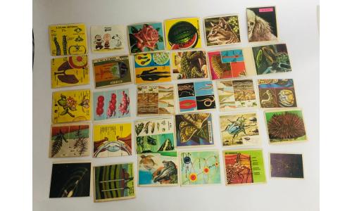 025x Figurinhas Ci�ncia